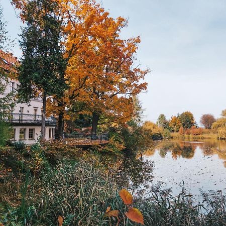 Palac Czarny Las Wożniki Exteriör bild