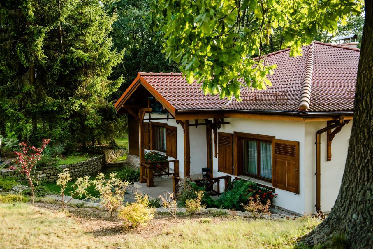 Palac Czarny Las Wożniki Exteriör bild
